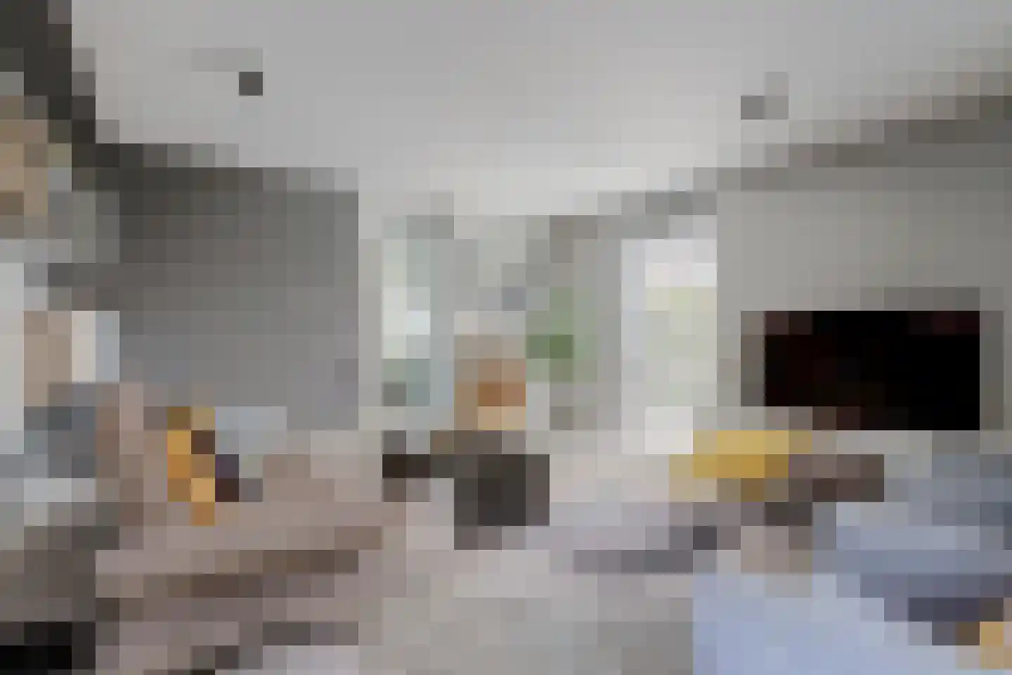 Madelief 14 Bodegraven thumbnail 20