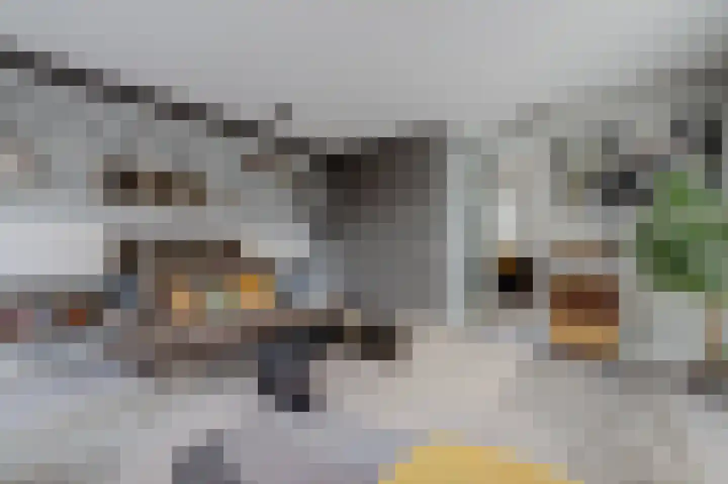 Madelief 14 Bodegraven thumbnail 21
