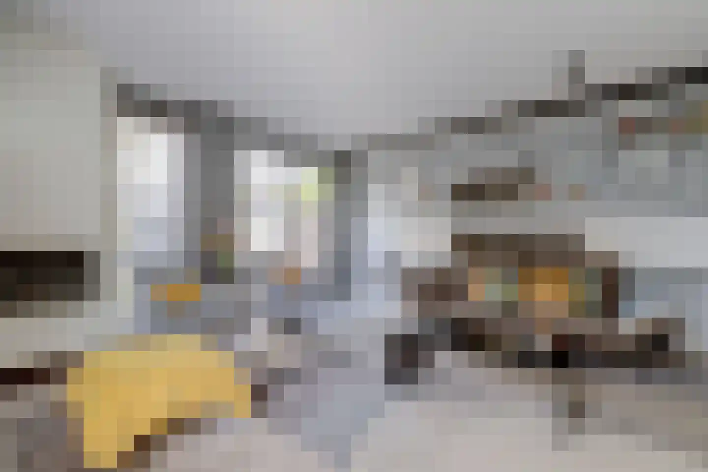 Madelief 14 Bodegraven thumbnail 23