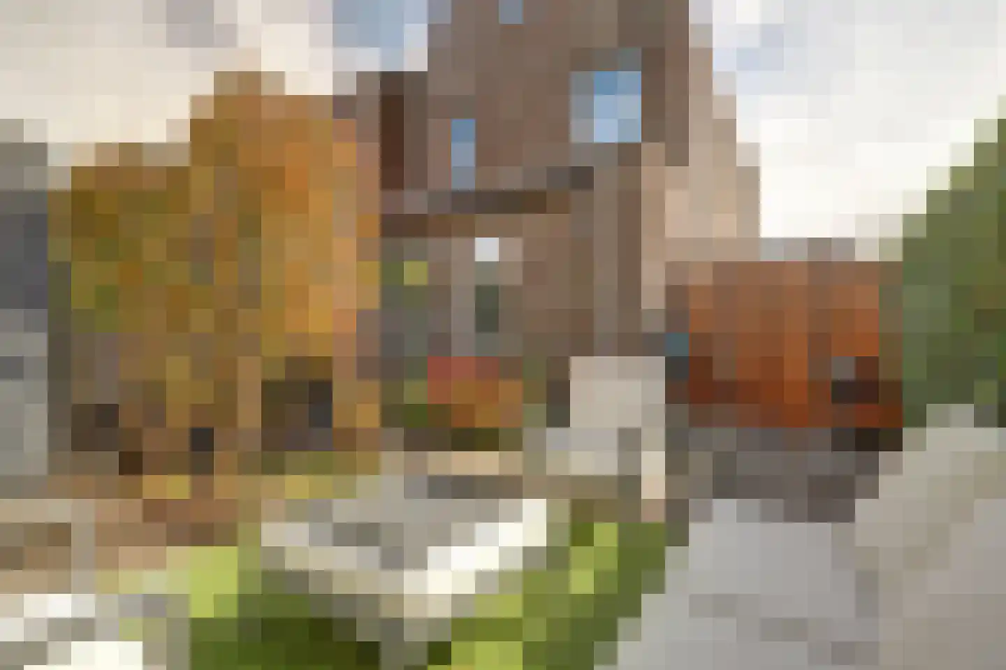Madelief 14 Bodegraven thumbnail 24