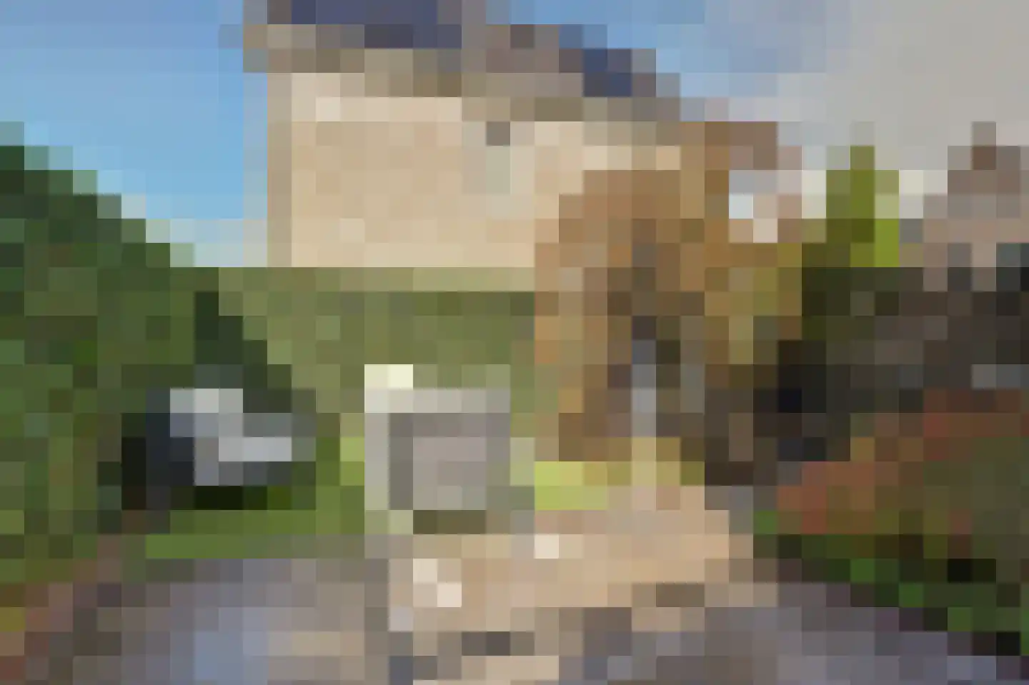 Madelief 14 Bodegraven thumbnail 25