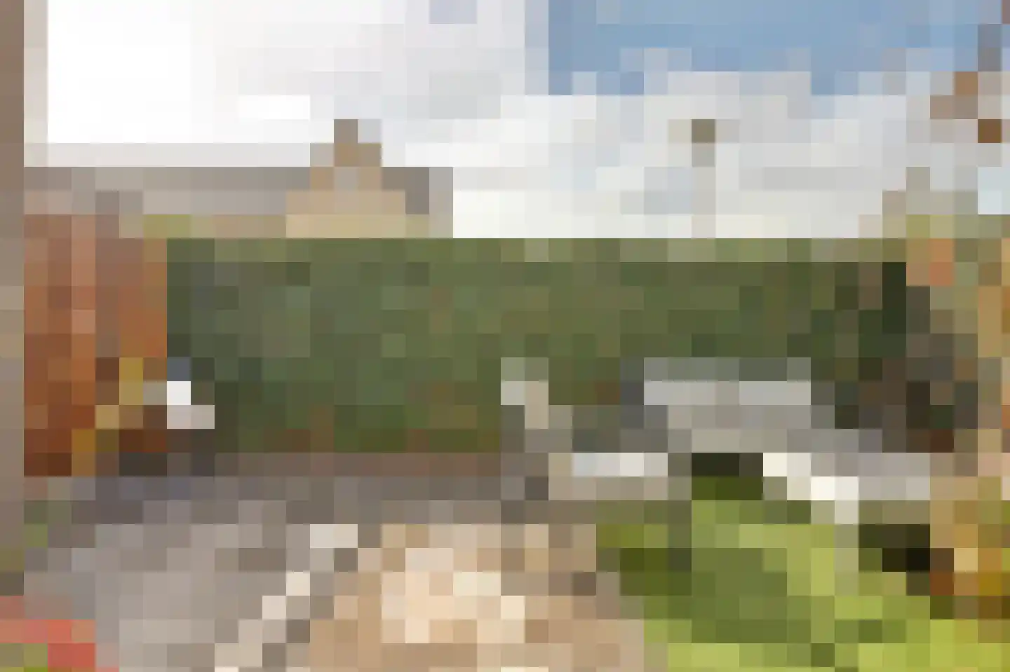 Madelief 14 Bodegraven thumbnail 26