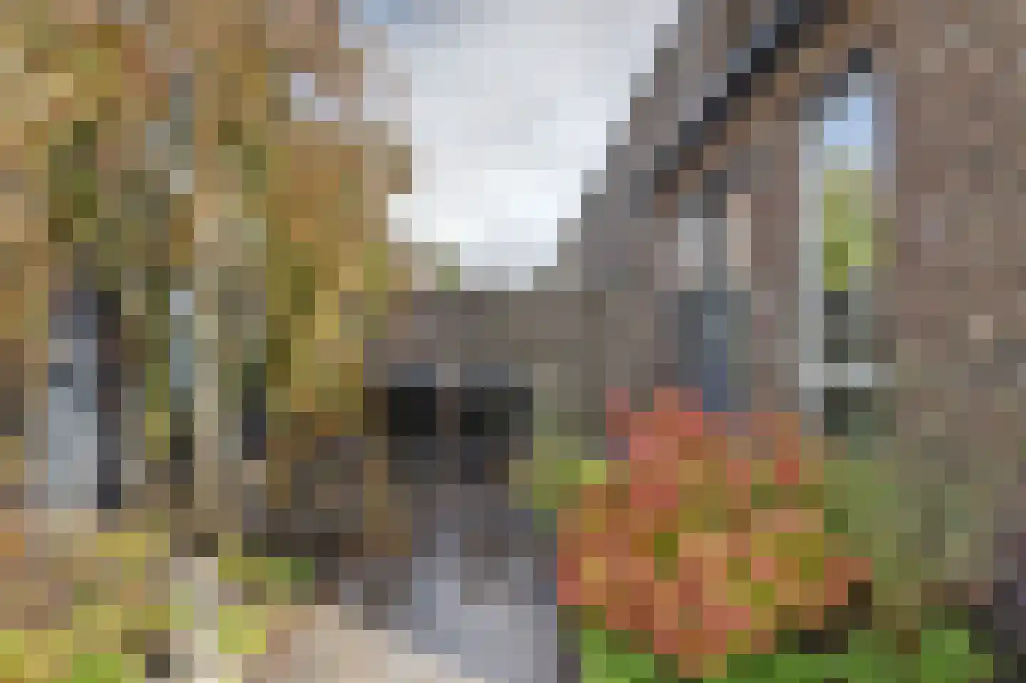 Madelief 14 Bodegraven thumbnail 27