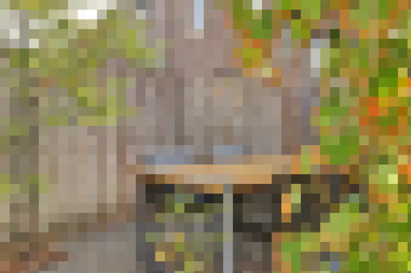Madelief 14 Bodegraven thumbnail 28