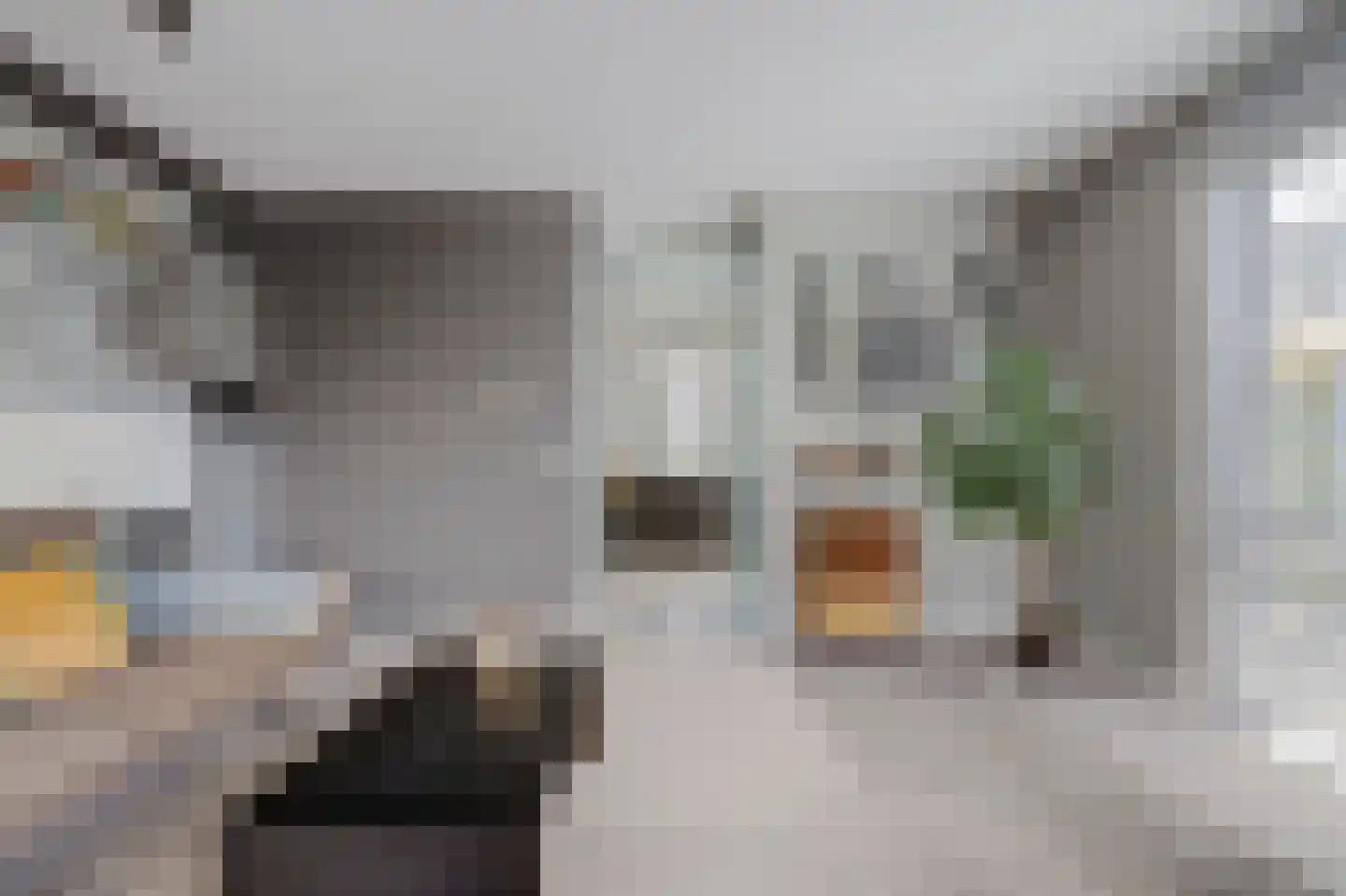 Madelief 14 Bodegraven thumbnail 30
