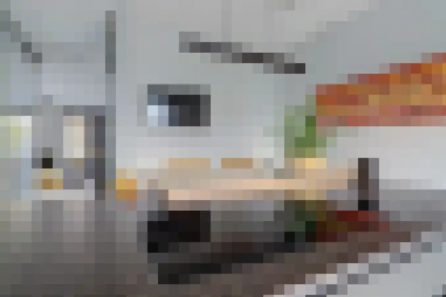 Madelief 14 Bodegraven thumbnail 36