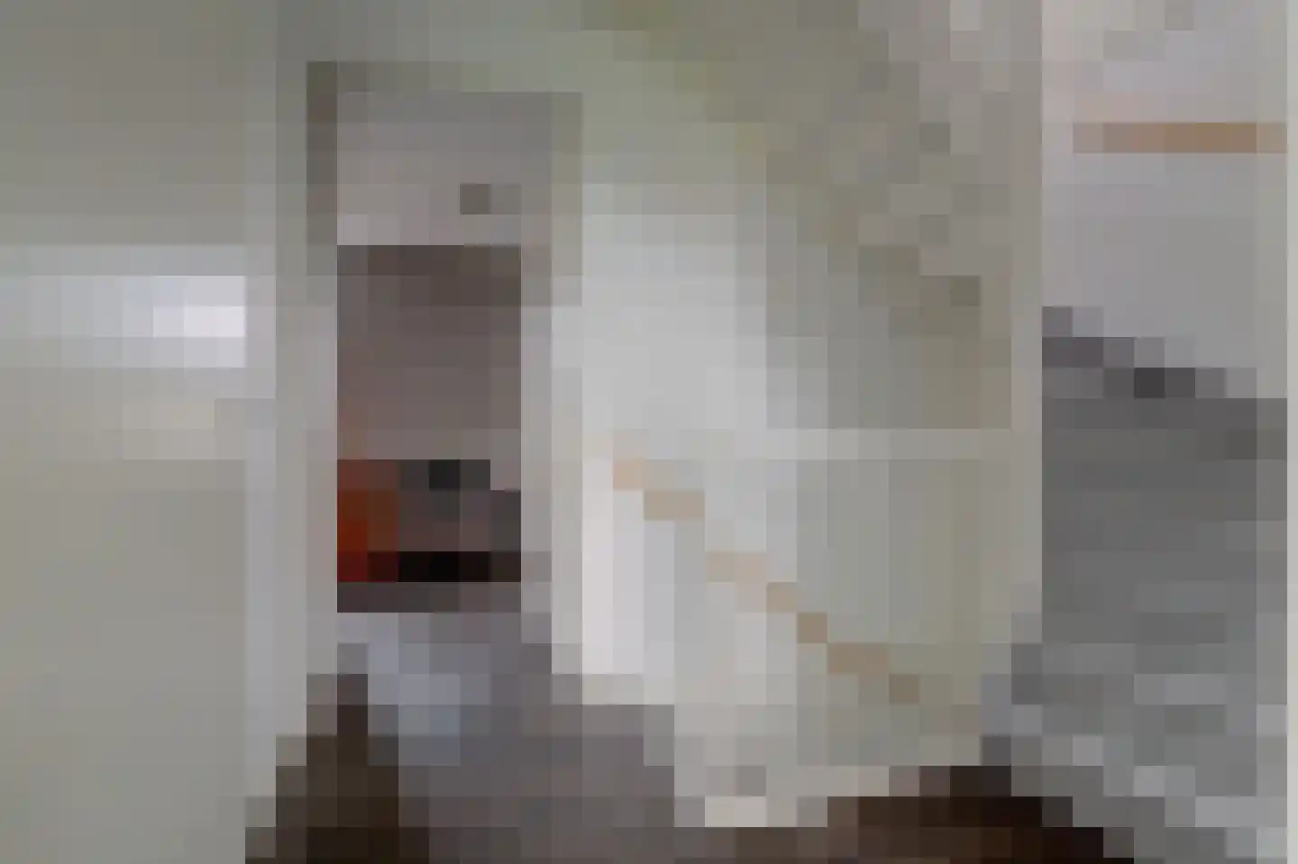 Madelief 14 Bodegraven thumbnail 37