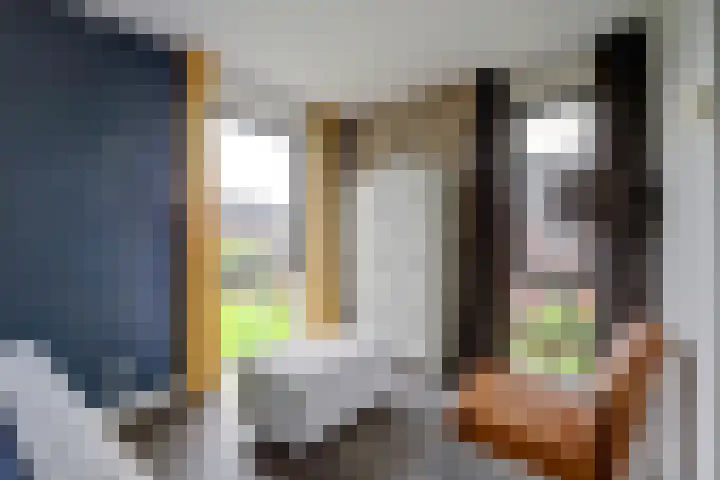 Madelief 14 Bodegraven thumbnail 39