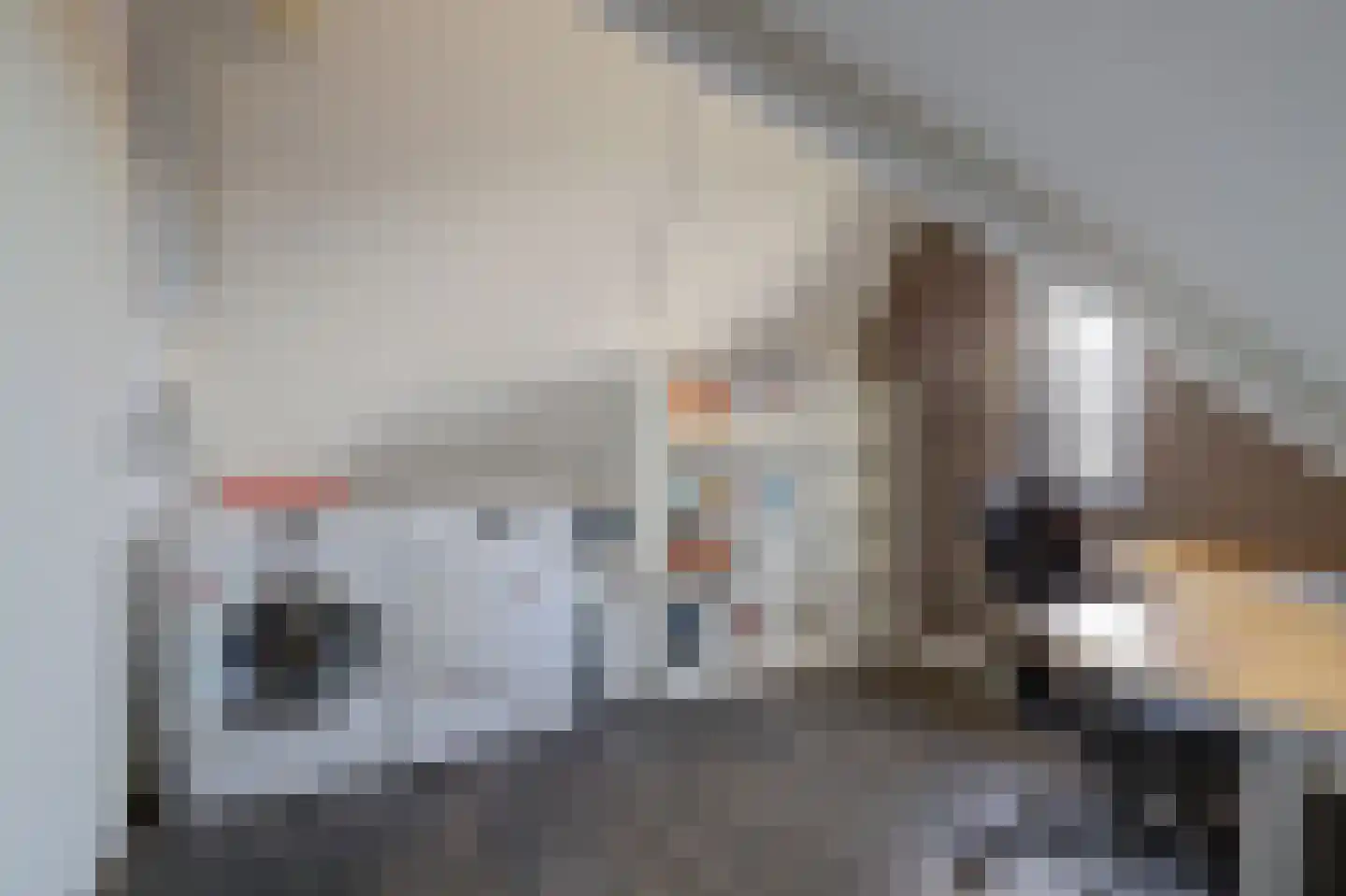Madelief 14 Bodegraven thumbnail 47