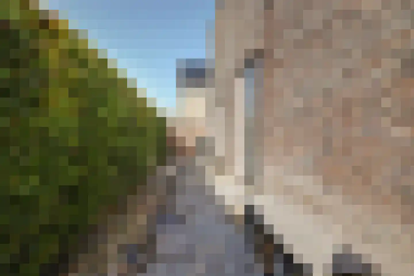 Madelief 14 Bodegraven thumbnail 50
