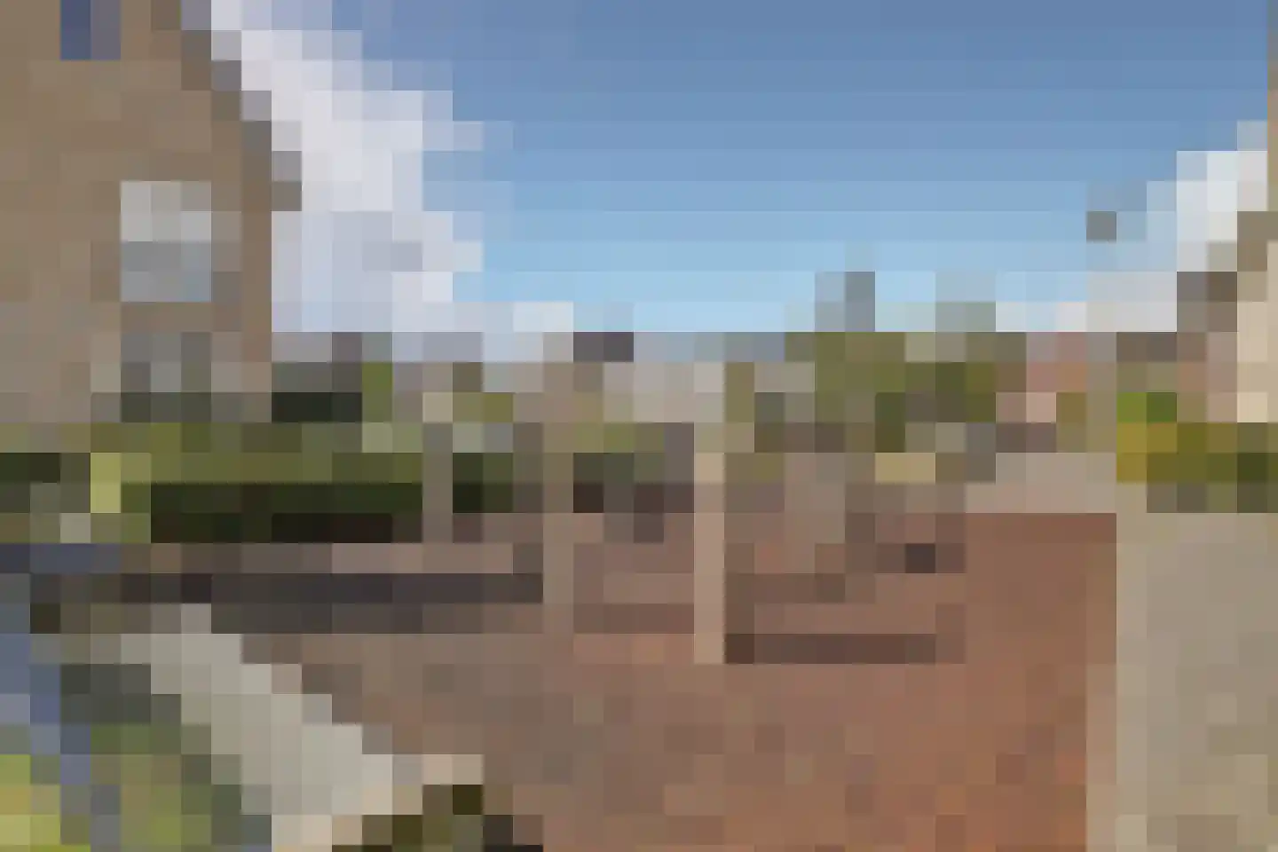 Madelief 14 Bodegraven thumbnail 52