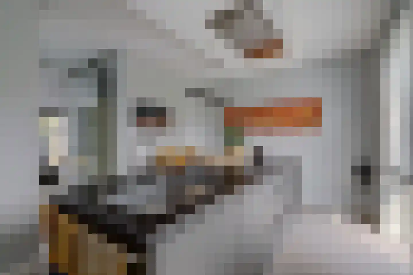 Madelief 14 Bodegraven thumbnail 6
