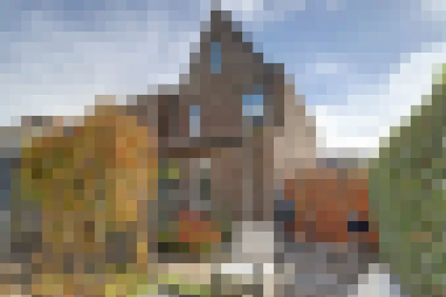 Madelief 14 Bodegraven thumbnail 8