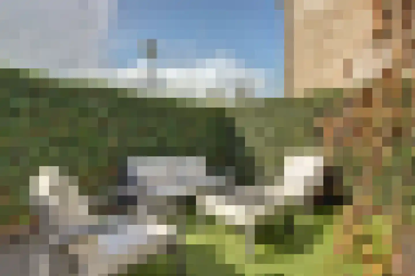 Madelief 14 Bodegraven thumbnail 9