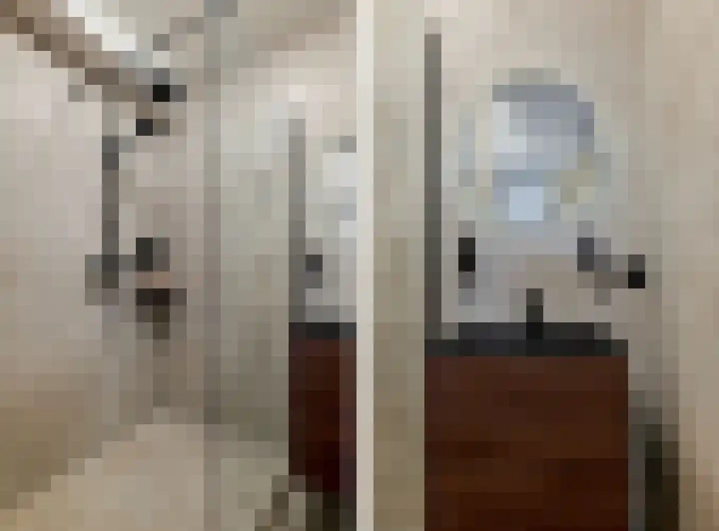 Madelief 14 Uithoorn thumbnail 10