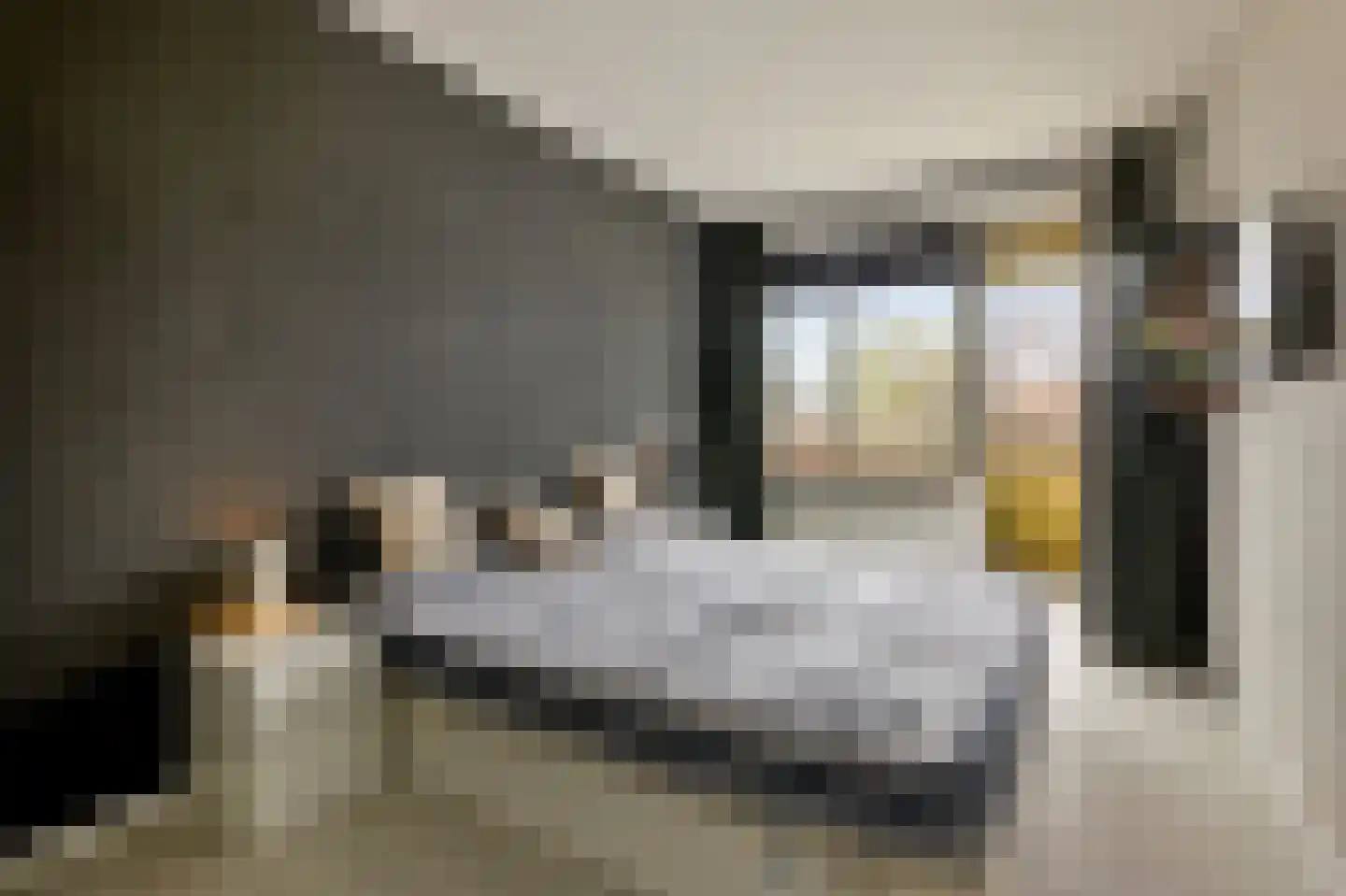 Madelief 14 Uithoorn thumbnail 14