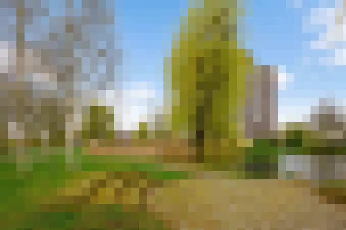 Madelief 14 Uithoorn thumbnail 16