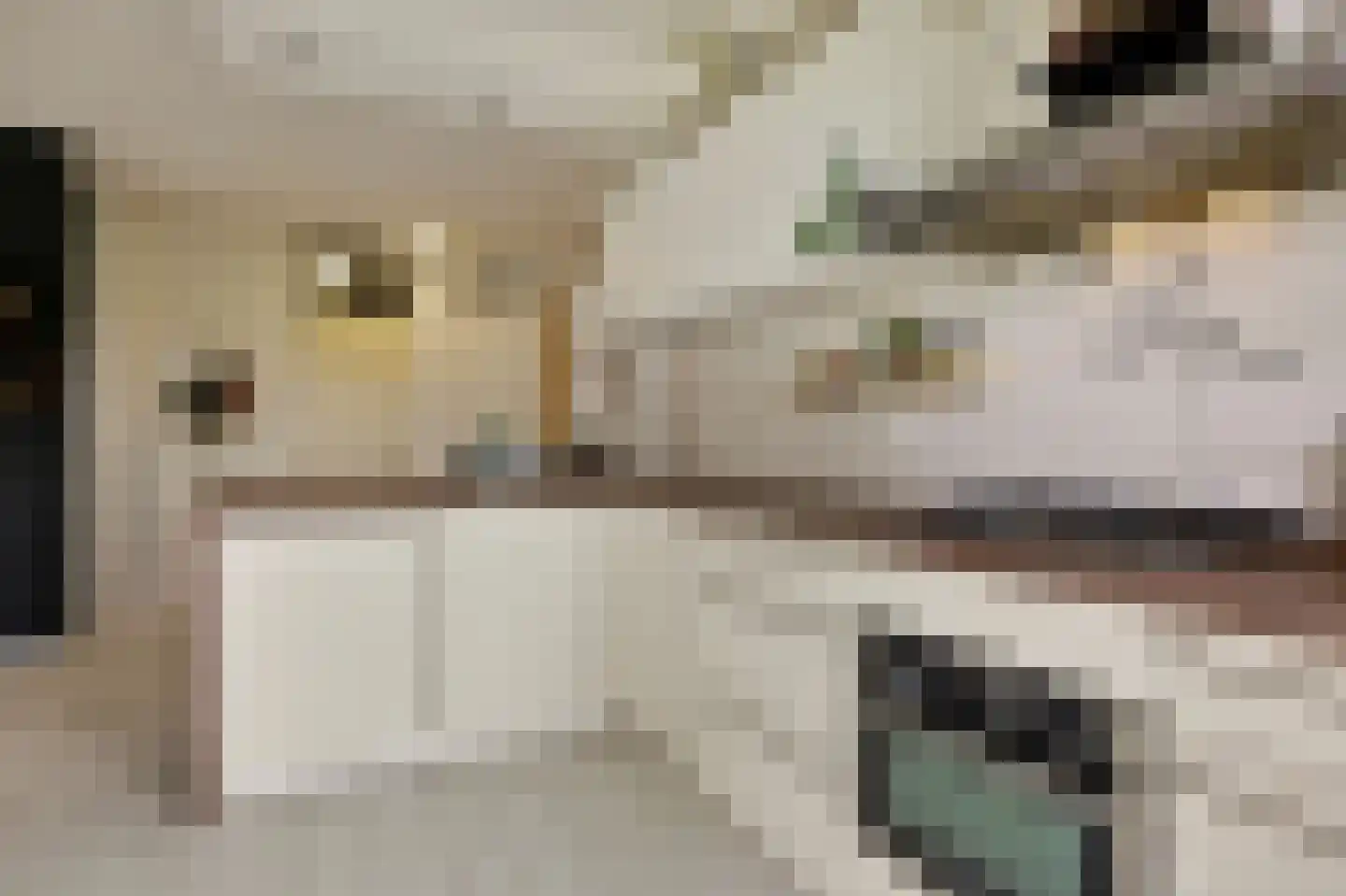 Madelief 14 Uithoorn thumbnail 8