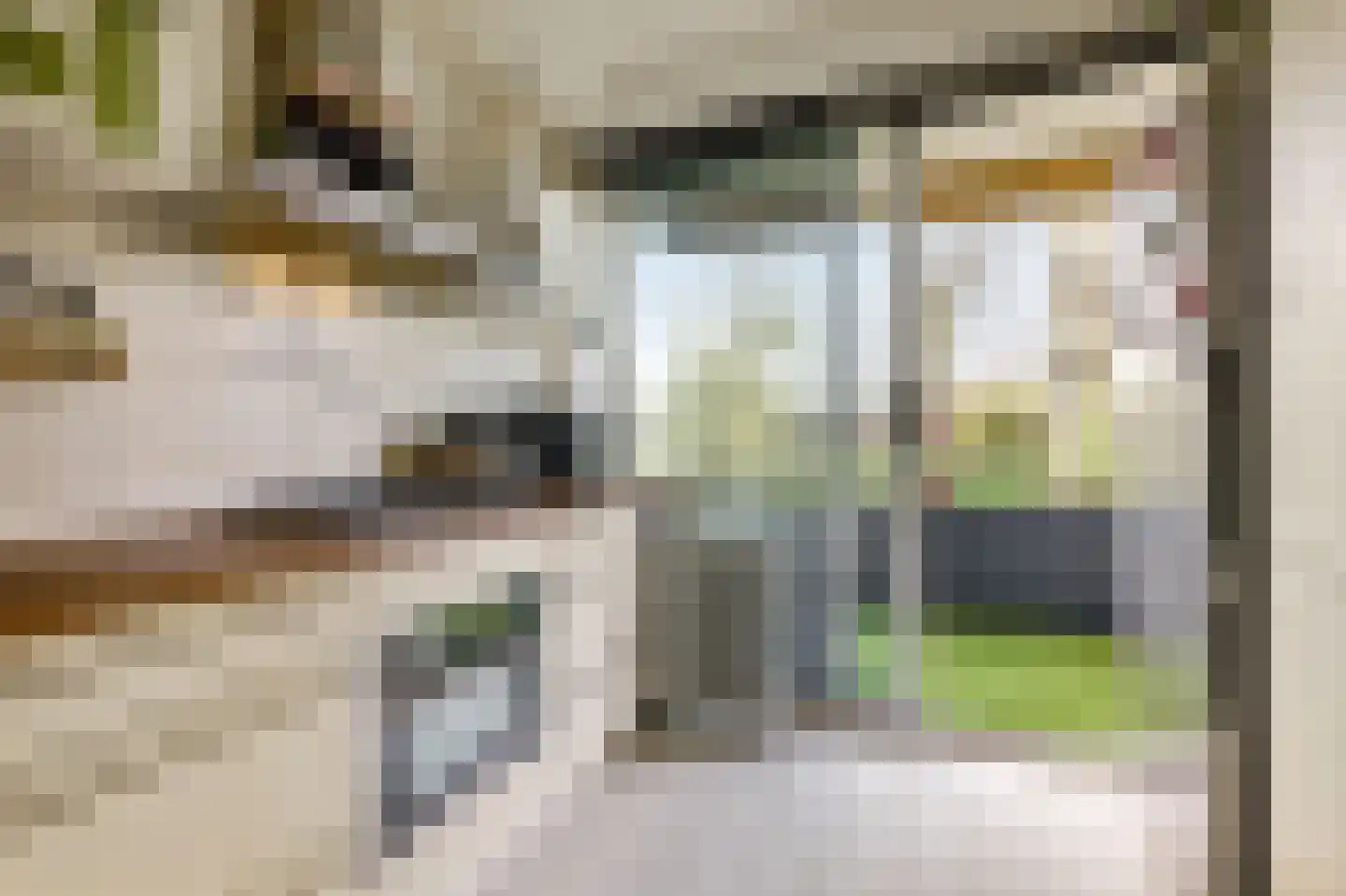Madelief 14 Uithoorn thumbnail 9
