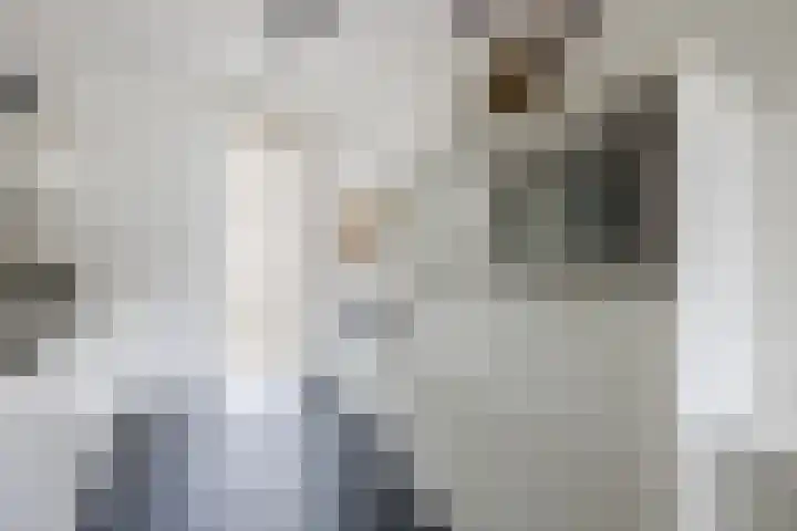 Madelief 20 Bodegraven thumbnail 16