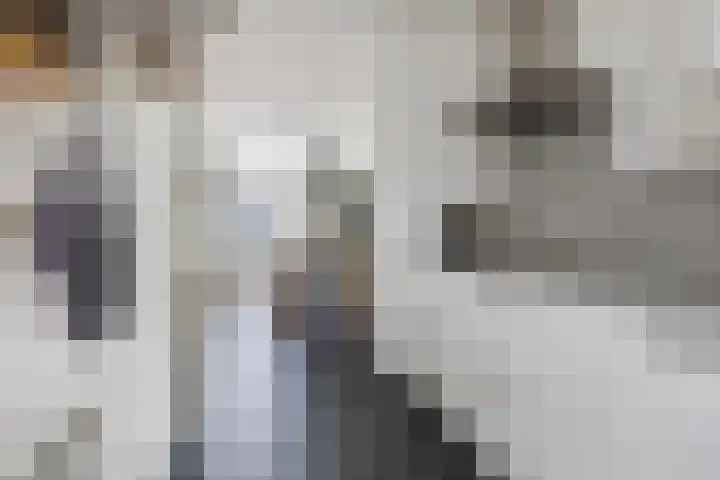 Madelief 20 Bodegraven thumbnail 18
