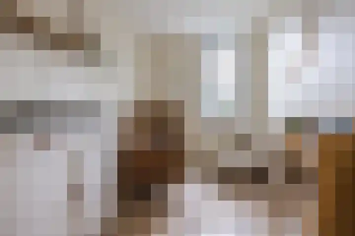 Madelief 20 Bodegraven thumbnail 24