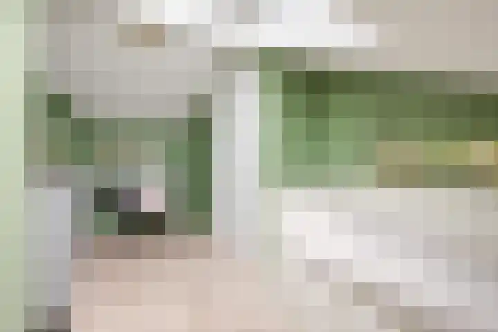 Madelief 20 Bodegraven thumbnail 32
