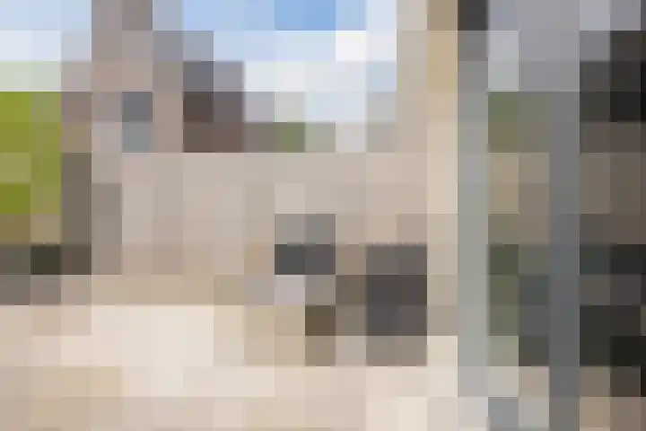 Madelief 20 Bodegraven thumbnail 34