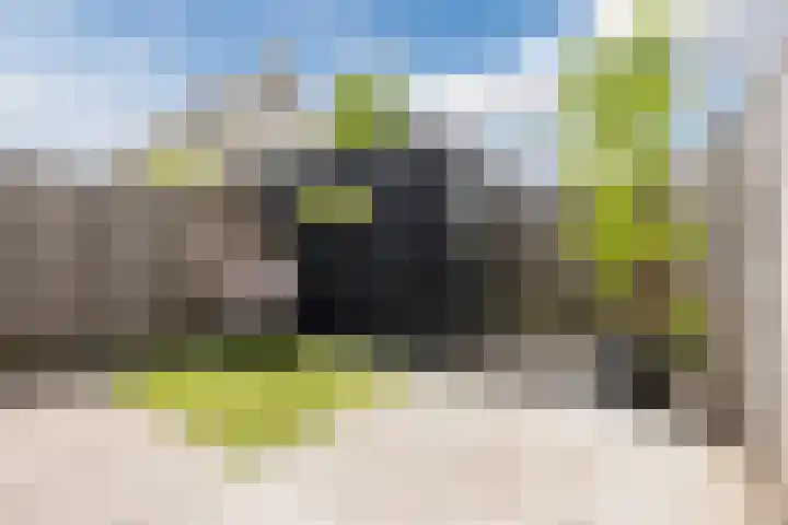 Madelief 20 Bodegraven thumbnail 35