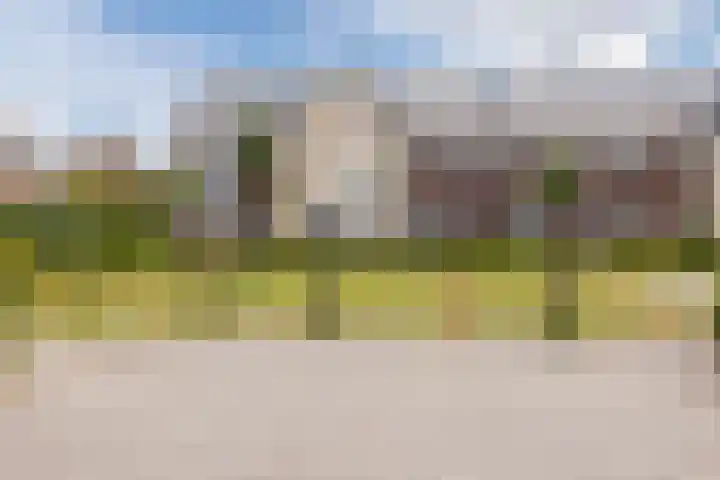 Madelief 20 Bodegraven thumbnail 38