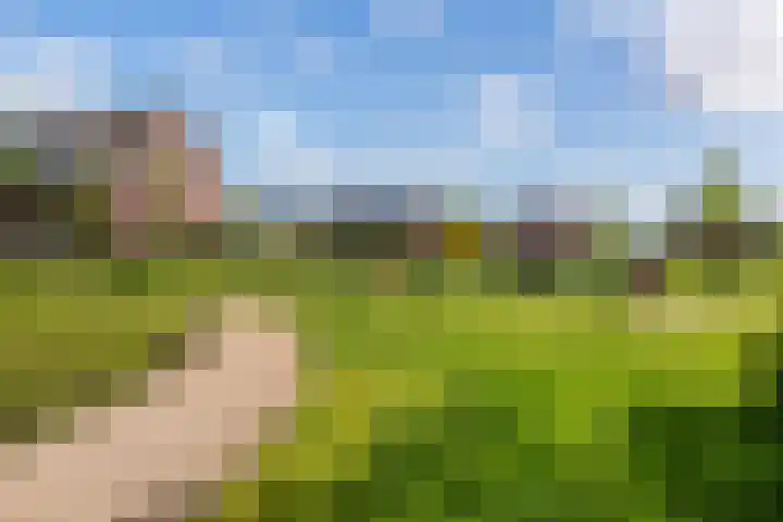 Madelief 20 Bodegraven thumbnail 39