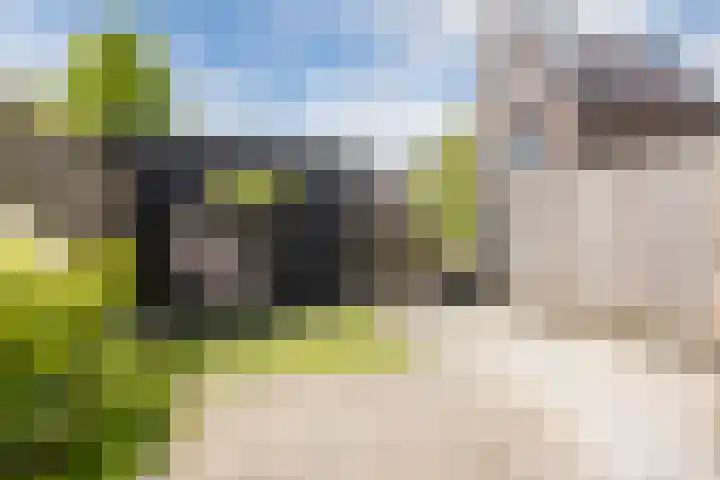 Madelief 20 Bodegraven thumbnail 5