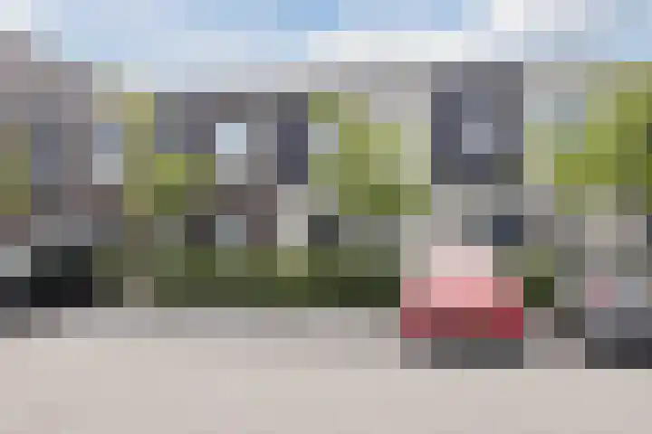 Madelief 20 Bodegraven thumbnail 6
