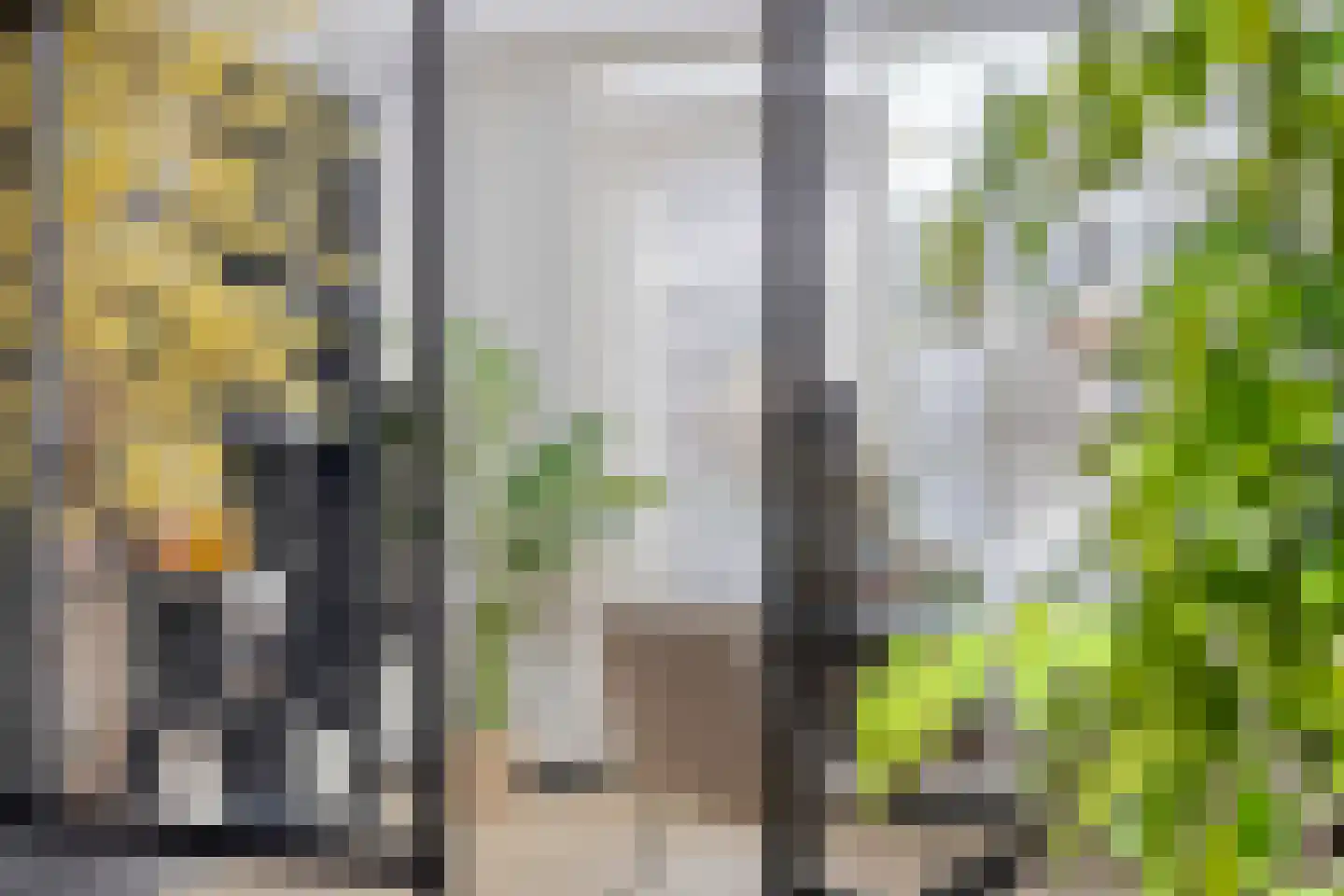 Madelief 21 Haaksbergen thumbnail 20