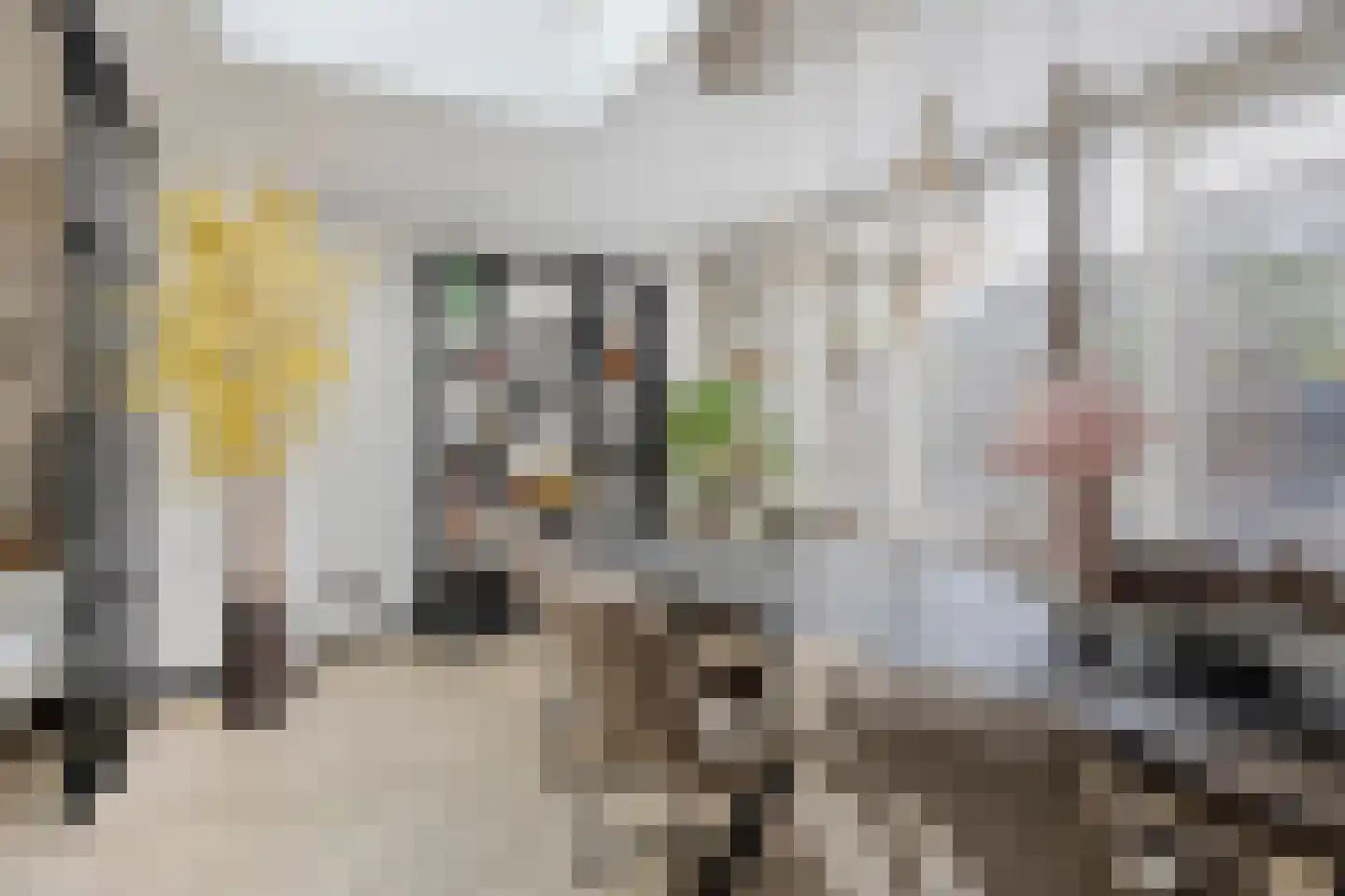 Madelief 21 Haaksbergen thumbnail 22