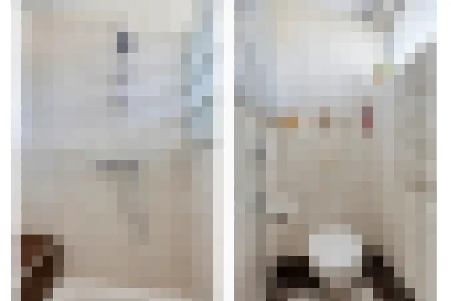 Madelief 21 Haaksbergen thumbnail 29