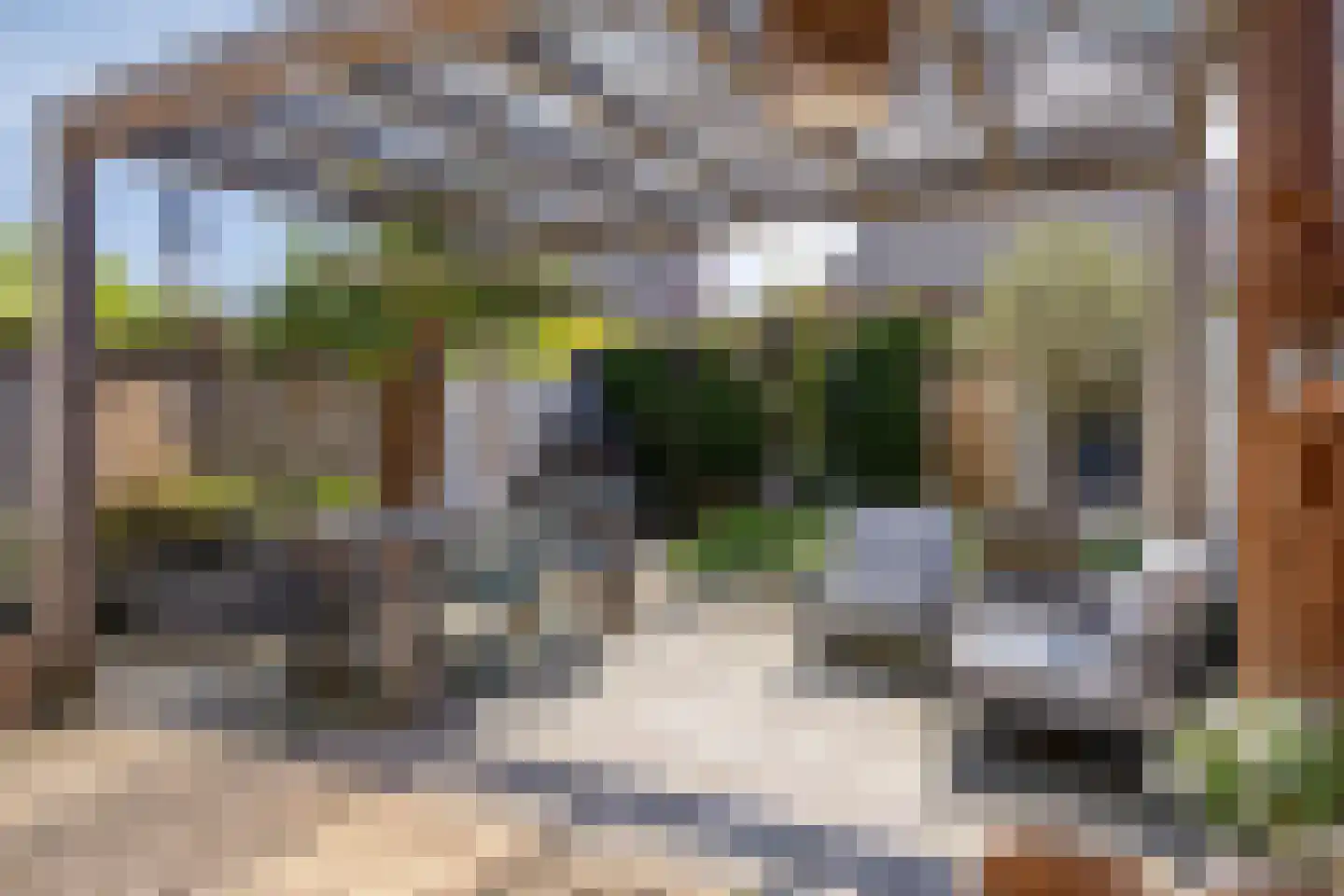 Madelief 21 Haaksbergen thumbnail 35