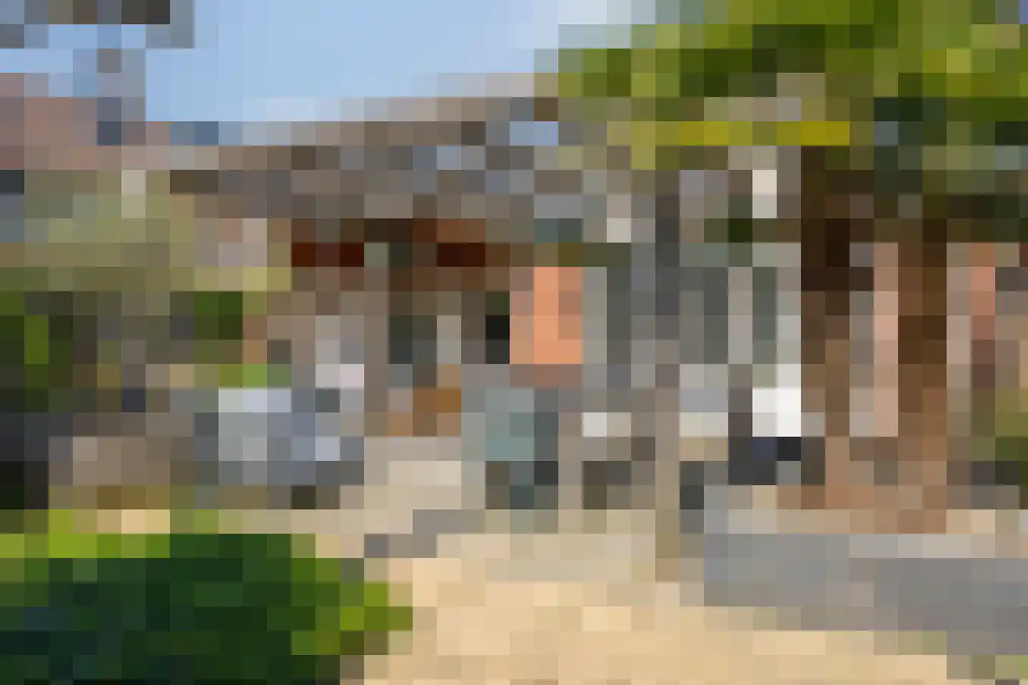 Madelief 21 Haaksbergen thumbnail 37