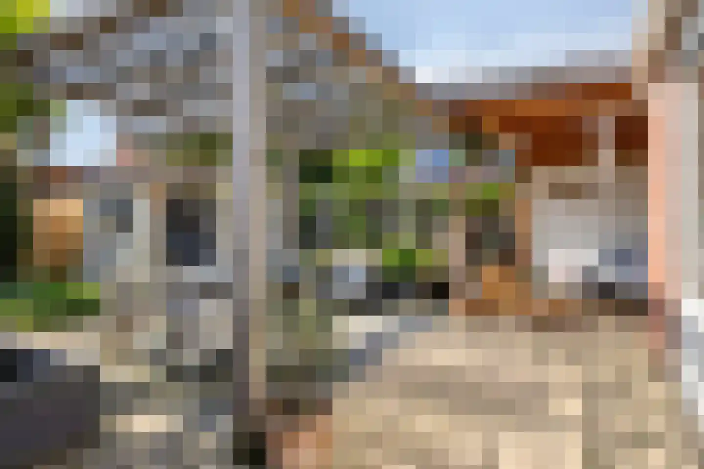 Madelief 21 Haaksbergen thumbnail 39