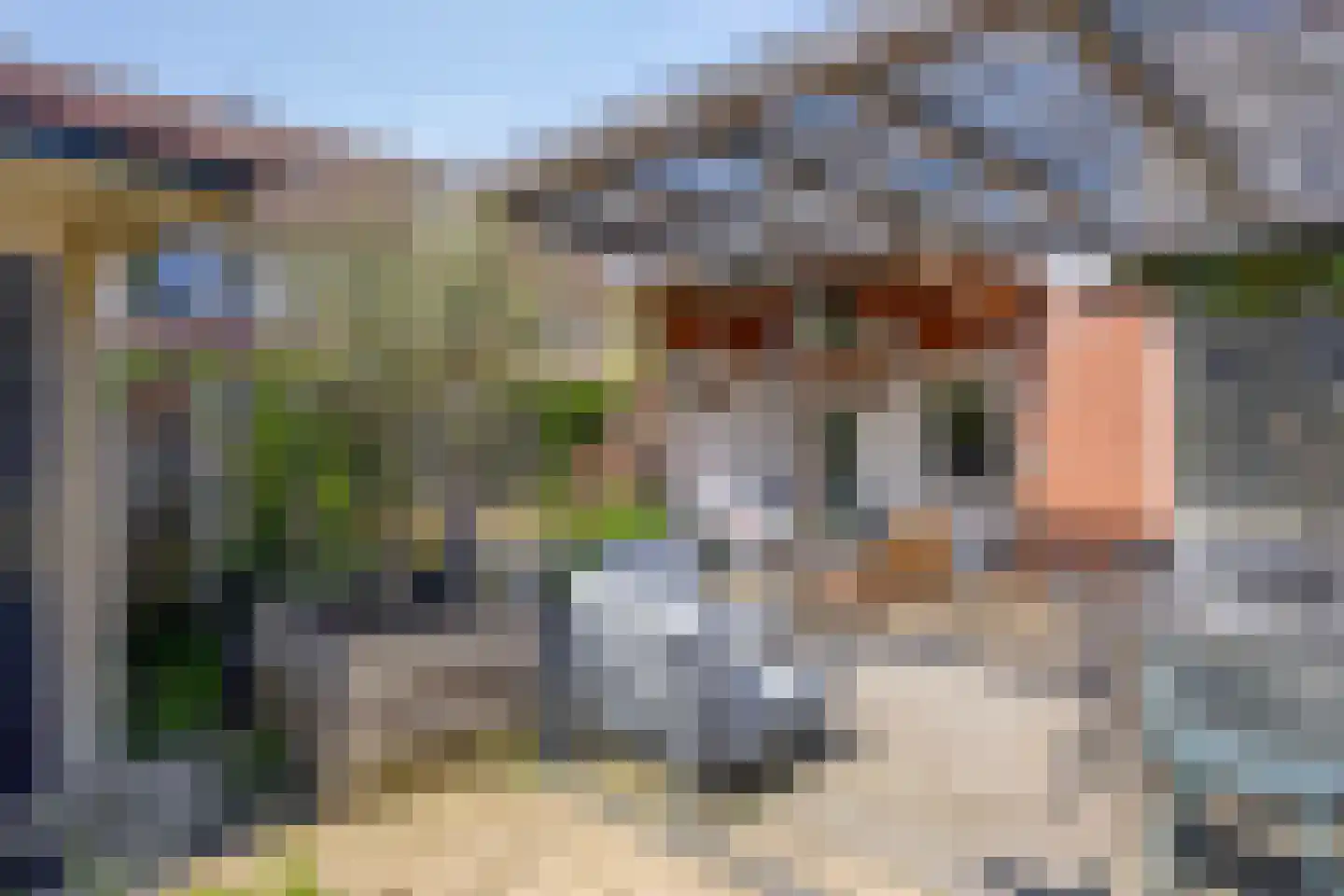 Madelief 21 Haaksbergen thumbnail 40