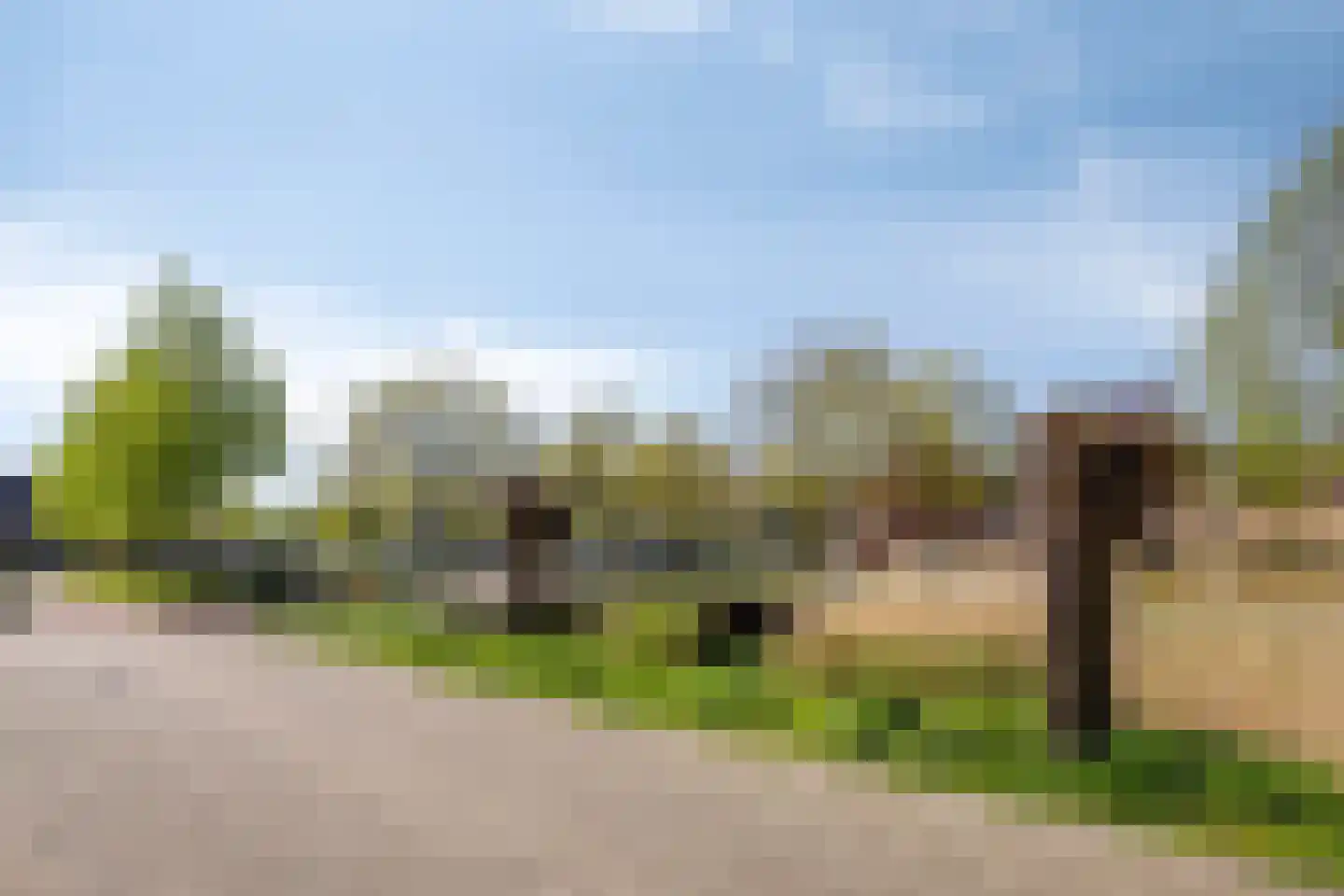 Madelief 21 Haaksbergen thumbnail 42
