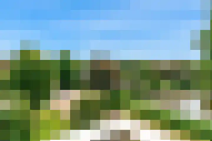 Madelief 33 Uithoorn thumbnail 18
