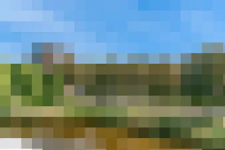 Madelief 33 Uithoorn thumbnail 19