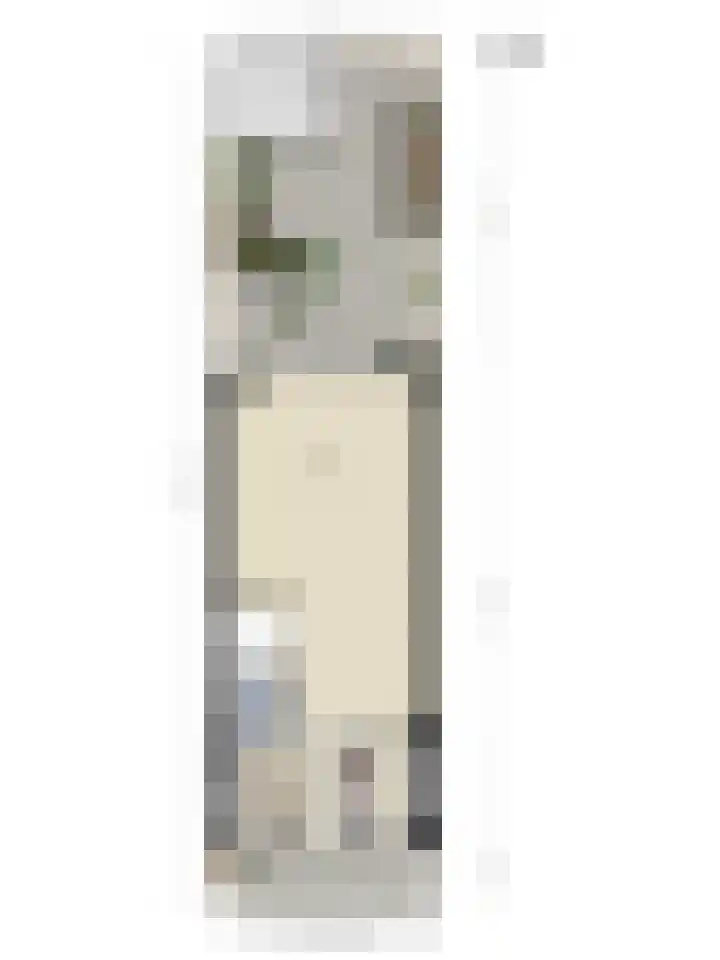 Madelief 34 Pijnacker thumbnail 51