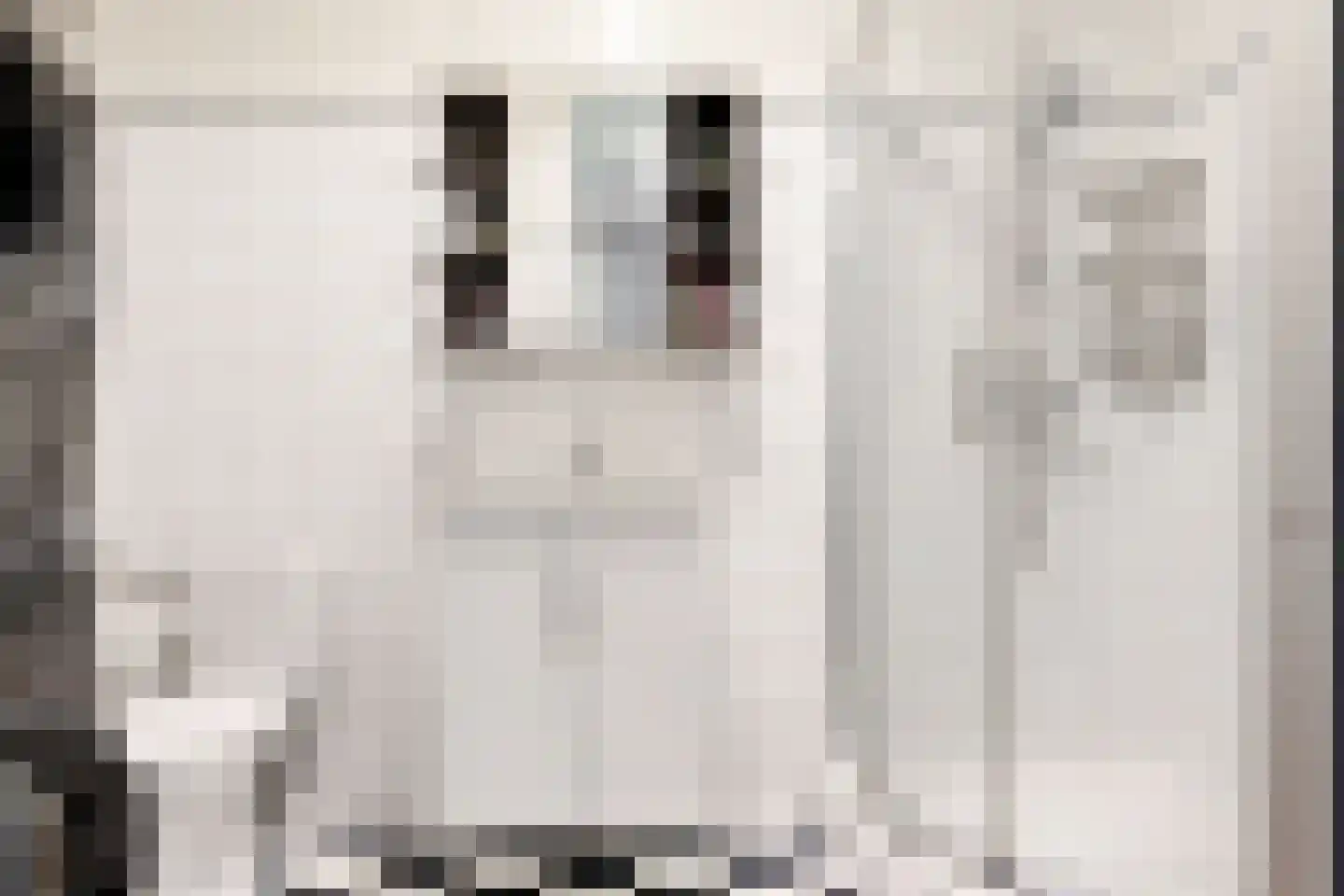 Madelief 35 Uithoorn thumbnail 14