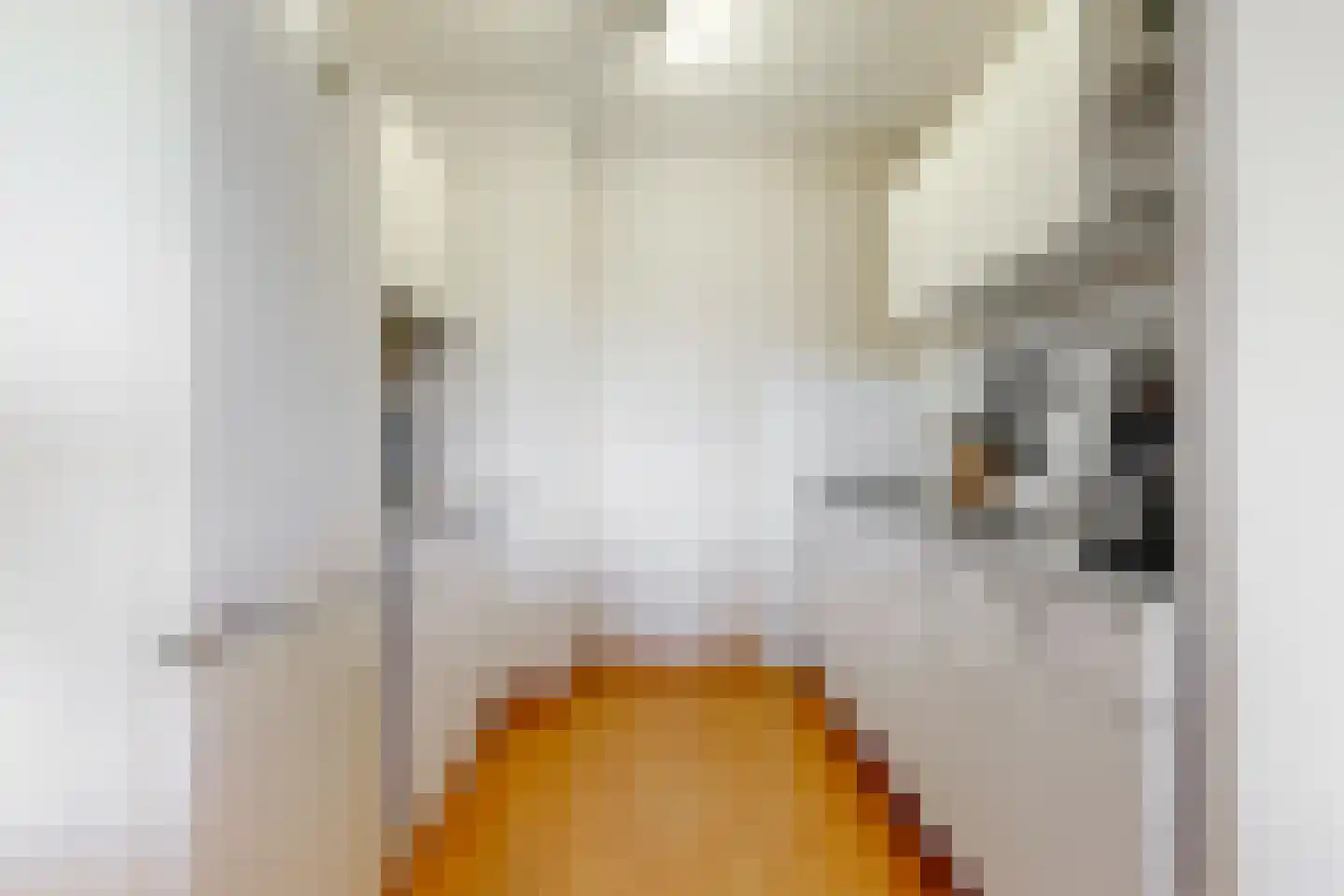 Madelief 35 Uithoorn thumbnail 8