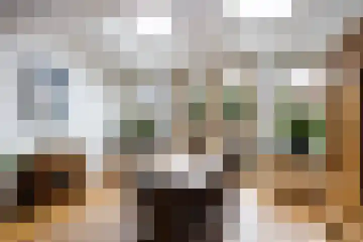 Madelief 37 Haastrecht thumbnail 11