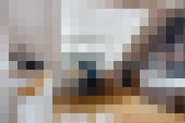 Madelief 37 Haastrecht thumbnail 17