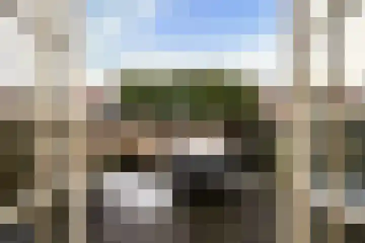 Madelief 37 Haastrecht thumbnail 21