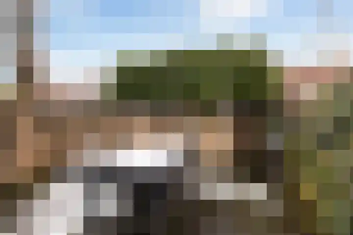 Madelief 37 Haastrecht thumbnail 22